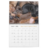 Eridox 2016 Dachshund Calendar Kalender (Mar 2026)