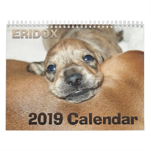 Eridox Dachshunds 2019 Agenda Kalender (Hoes)