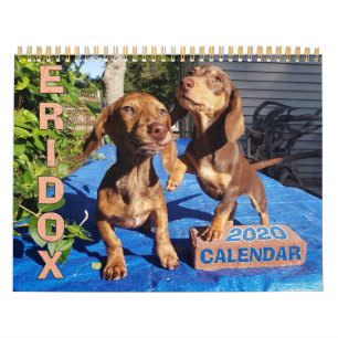 Eridox Dachshunds 2020 Agenda Kalender
