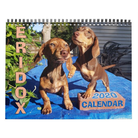 Eridox Dachshunds 2020 Agenda Kalender (Hoes)