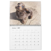 Eridox Dachshunds 2020 Agenda Kalender (Jan 2027)