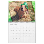 Eridox Dachshunds 2020 Agenda Kalender (Mar 2026)