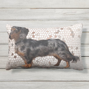 Eridox Dachshunds langharig dapple Aglaia kussen