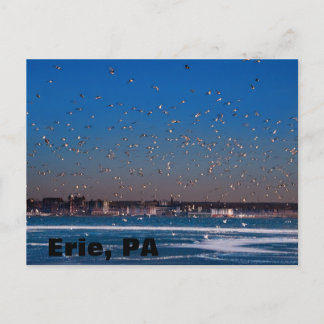 Erie, PA skyline Briefkaart