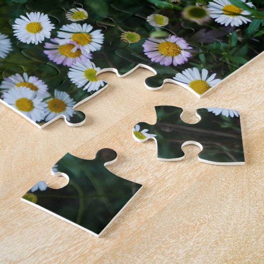 Erigeron Daisies Puzzle (Côté)