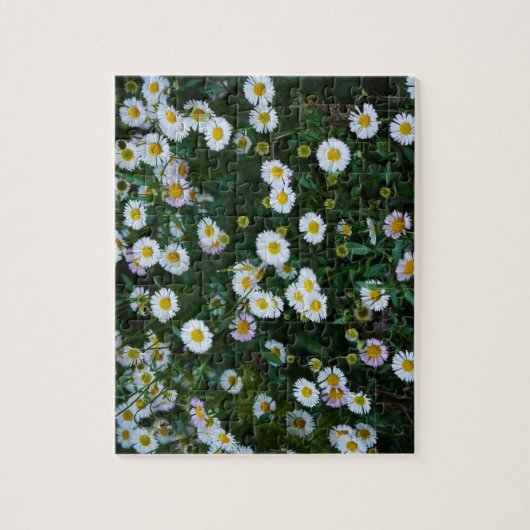 Erigeron Daisies Puzzle (Vertical)