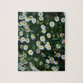 Erigeron Daisies Puzzle Legpuzzel (Verticaal)