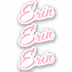 Erin Decoratieve Naam in Roze x3 Sticker