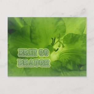 Erin Go Braugh Green Freesia-objecten Briefkaart