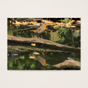 Erithacus rubecula visitekaartjes