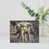 Erkenning Briefkaart (Staand voorkant)