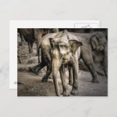 Erkenning Briefkaart (Voorkant / Achterkant)