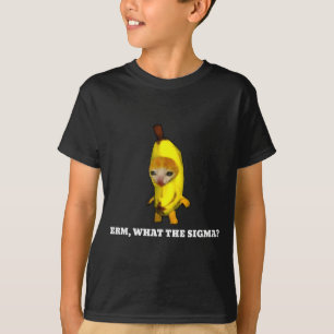 Erm, Wat Sigma_ Kat Meme Mannen Vrouwen Meisjes Ki T-shirt