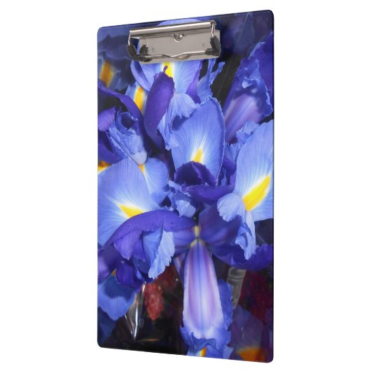 Ermengarde Klembord (Links)