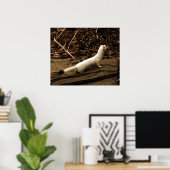 Ermine Poster (Thuiskantoor)