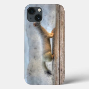 Ernie the Determined Ermine (Weasel) Wildlife iPhone 13 Hoesje