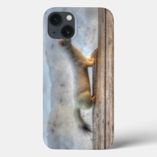 Ernie the Determined Ermine (Weasel) Wildlife Case-Mate iPhone Case (Achterkant)