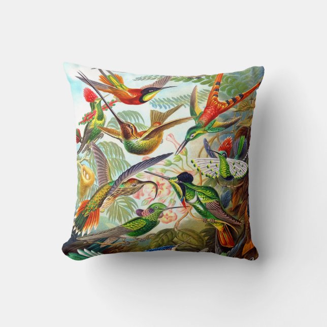 Ernst Haeckel 1904 Hummingbird Print on Pillow Kussen (Voorkant)