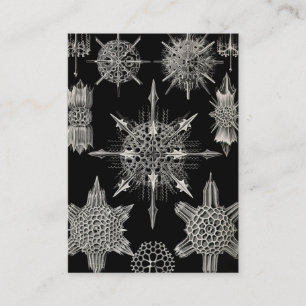Ernst Haeckel Acanthophracta Visitekaartje