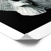 ERNST HAECKEL: Acephala, Poster voor fijne kunsten (Hoek)