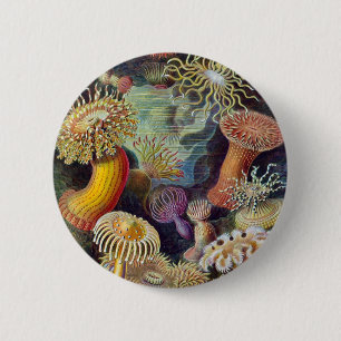 Ernst Haeckel - Actiniae Ronde Button 5,7 Cm