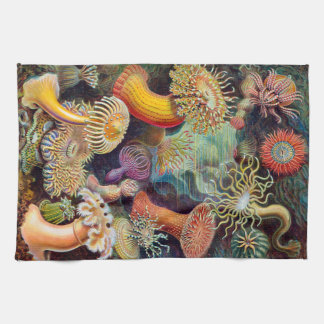 Ernst Haeckel Actiniaea zee anemone Theedoek