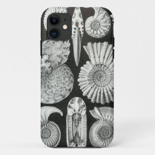 Ernst Haeckel - Ammonitida iPhone 11 Hoesje