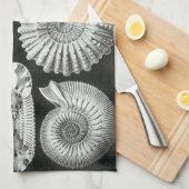 Ernst Haeckel Ammonitida fossielen Theedoek (Quarter Fold)