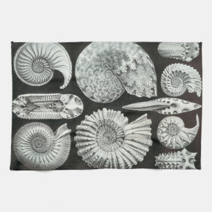 Ernst Haeckel Ammonitida fossielen Theedoek