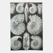 Ernst Haeckel Ammonitida fossielen Theedoek (Verticaal)