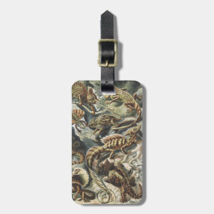 Ernst Haeckel Antieke Reptiel Hagedis Natuur Kunst Bagagelabel