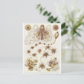 Ernst Haeckel Art Carte postale : Siphonophorae (Debout devant)