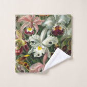 Ernst Haeckel Art Imprimer : Orchidae Oncidiums, t (Gant de toilette)