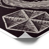 Ernst Haeckel Art Print: Amphoridea Poster (Hoek)