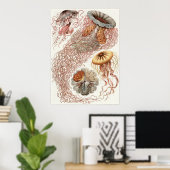 Ernst Haeckel Art Print: Discomedusae Poster (Thuiskantoor)