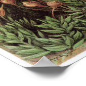 Ernst Haeckel Art Print: Muscinae Poster (Hoek)