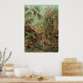 Ernst Haeckel Art Print: Muscinae Poster (Keuken)