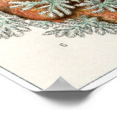 Ernst Haeckel Art Print: Nudibranchia Poster (Hoek)