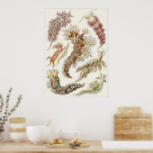 Ernst Haeckel Art Print: Nudibranchia Poster (Keuken)