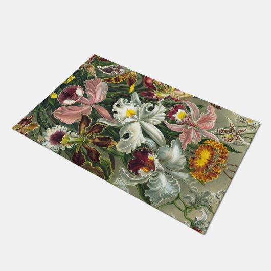 Ernst Haeckel Art Print: Orchidae Oncidiums, tulpe Deurmat (Schuin)