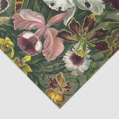 Ernst Haeckel Art Print: Orchidae Oncidiums, tulpe Tissuepapier (Detail)
