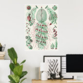 Ernst Haeckel Art Print: Siphonophorae Poster (Thuiskantoor)