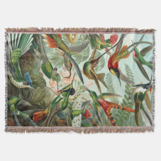 Ernst Haeckel Art Print: Trochilidae Deken