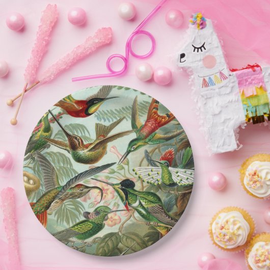 Ernst Haeckel Art Print: Trochilidae Papieren Bordje (Feest)