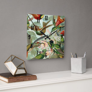 Ernst Haeckel Art Print: Trochilidae Vierkante Klok