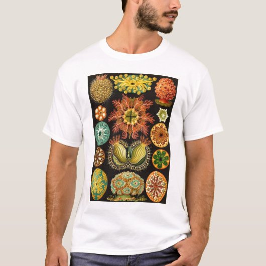 Ernst Haeckel - Ascidiae T-shirt (Voorkant)