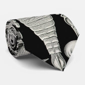 Ernst Haeckel Aspidonia Stropdas (Opgerold)