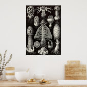 Ernst Haeckel - Basimycetes paddenstoelen Poster (Keuken)
