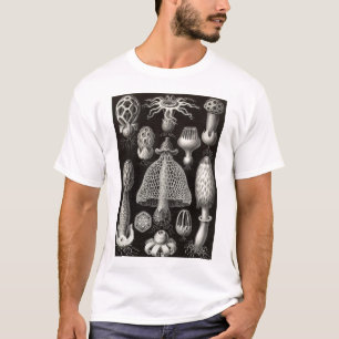 Ernst Haeckel - Basimycetes paddenstoelen T-shirt