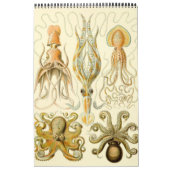  Ernst Haeckel, Biology, Botany, Science Ca Kalender (Hoes)